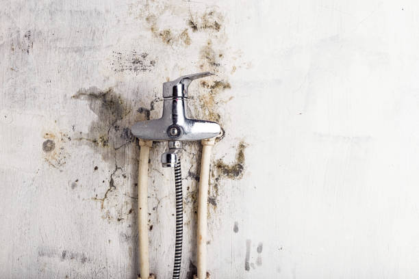 Best Mold Testing and Inspection Services in Baldwin, FL