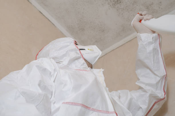 Best Residential Mold Remediation in Baldwin, FL