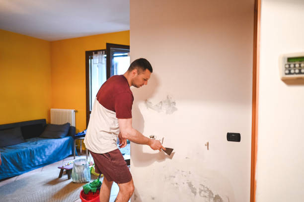 Best Attic Mold Remediation in Baldwin, FL